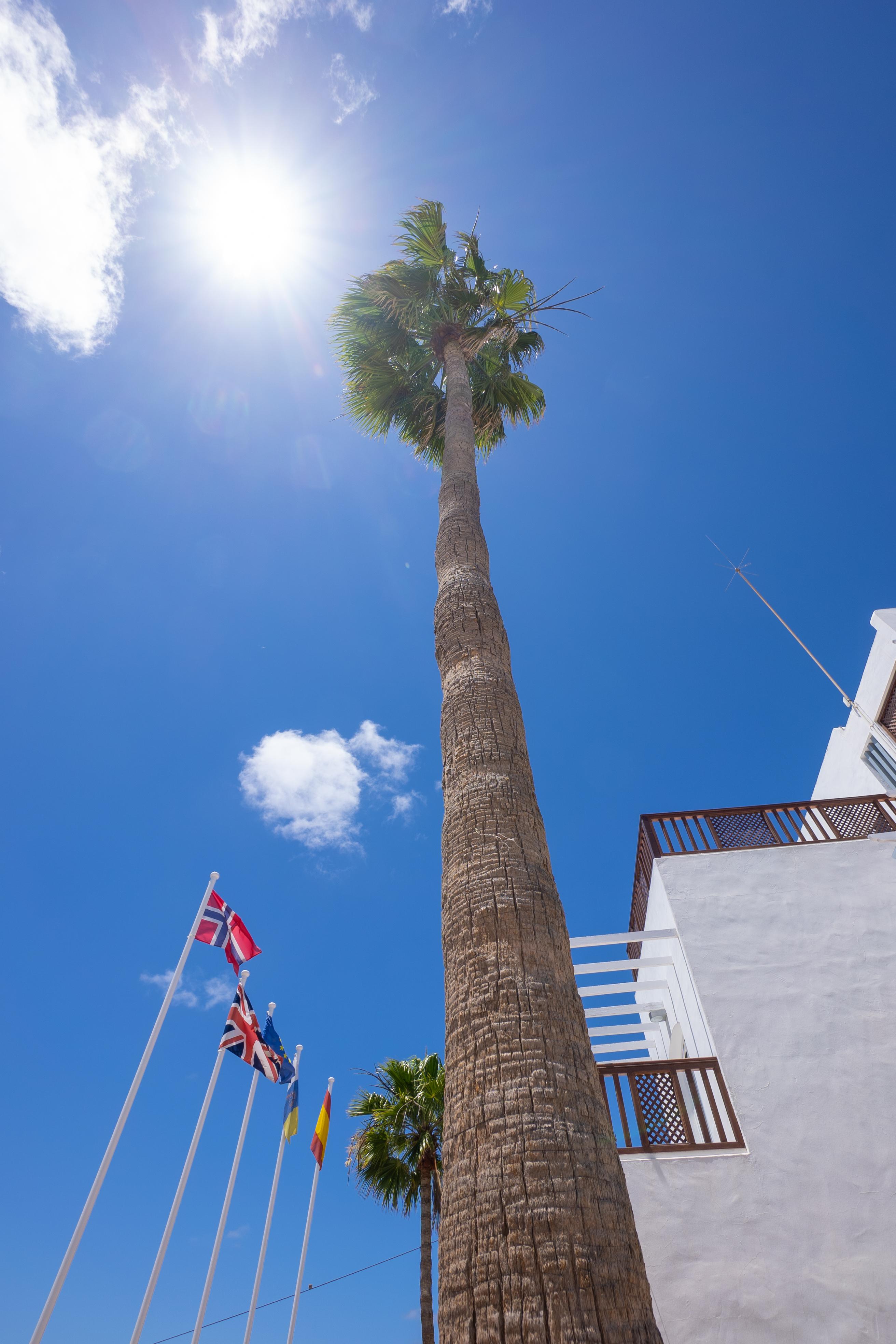 Vista Mar Apartamentos (Adults Only) بويرتو ذيل كارمين المظهر الخارجي الصورة